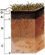TR-1 Soils- Site Preperation (BC 1704.7.1)